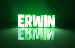 Erwin