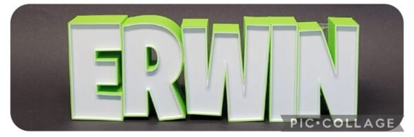 Erwin - Image 2